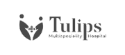 tulip